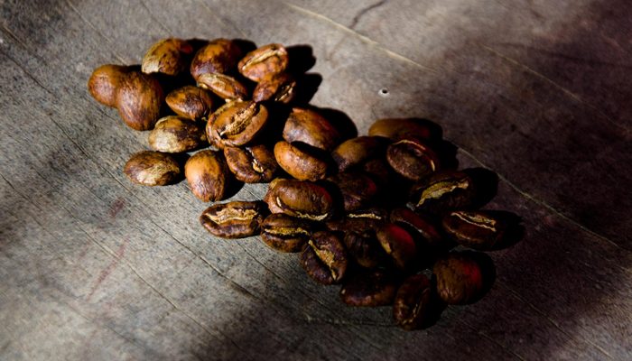 Fuertes sensaciones y relajación en el corazón de los Yungas