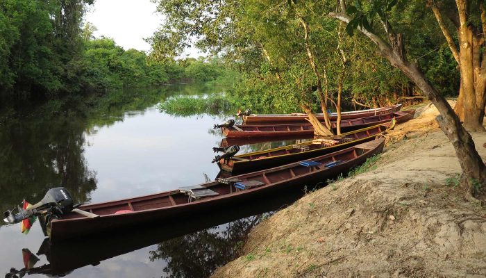 LA PAZ - RURRENABAQUE – PARQUE NACIONAL MADIDI