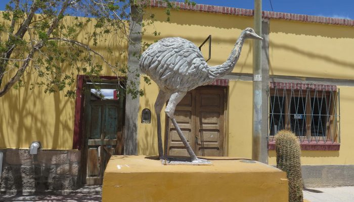 Thaki Bolivia