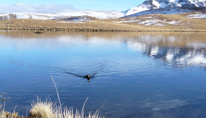 Thaki Bolivia