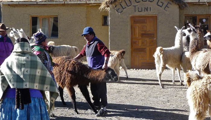 Thaki Bolivia