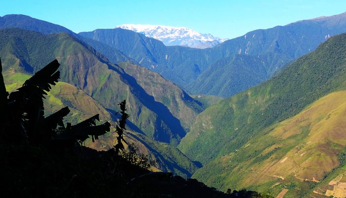 COROICO - PASEO DE CASCADAS – FARNIENTE