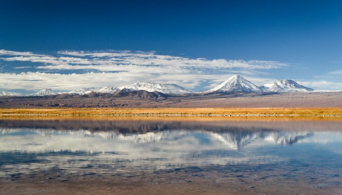 SAN PEDRO DE ATACAMA - SALAR DE TARA