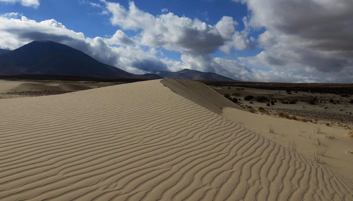 TARIJA - RESERVA ORGÁNICA DE SAMA - TARIJA