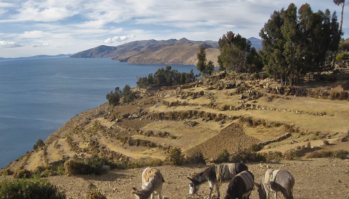 YUMANI - LA ISLA DE LA LUNA - COPACABANA - LA PAZ