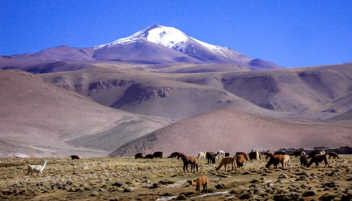 Thaki Bolivia