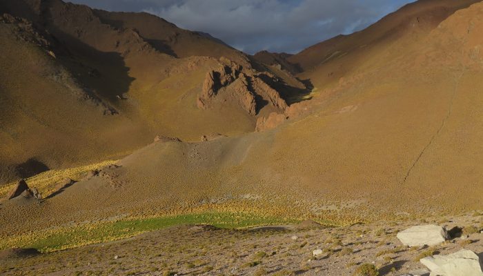 Thaki Bolivia