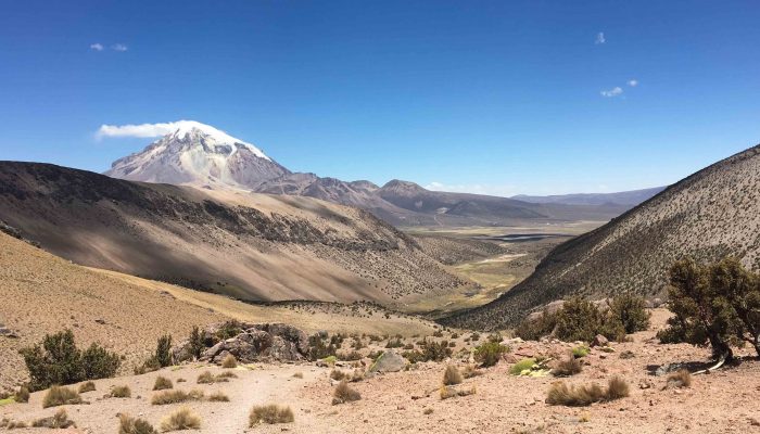 Thaki Bolivia