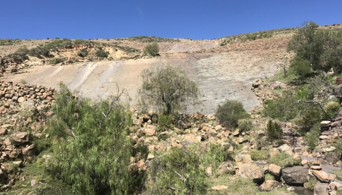 Thaki Bolivia