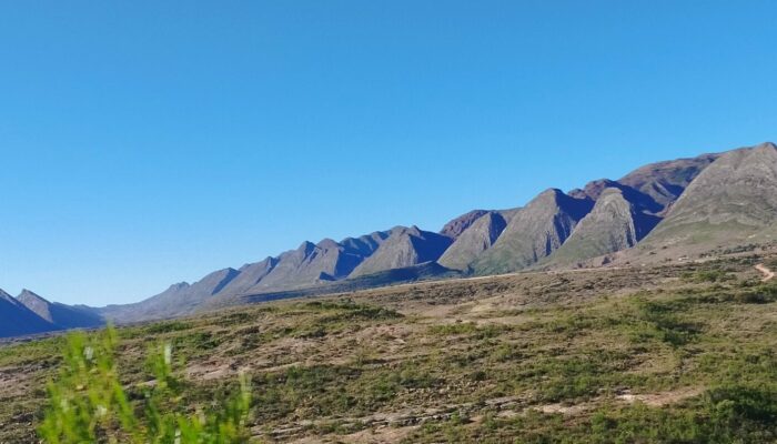 Thaki Bolivia