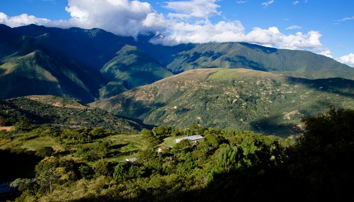 LA PAZ - COFFEE BREAK - COROICO 