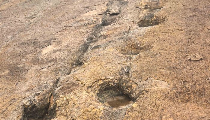 LA PAZ - COCHABAMBA -TOROTORO / DINOSAUR FOOTPRINTS 