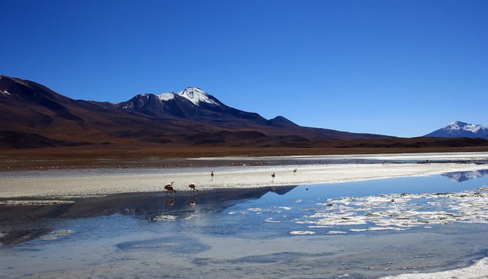 SILOLI’S DESERT - 1001 LAGOONS - SAN PEDRO DE QUEMEZ (3700M/12139FT)