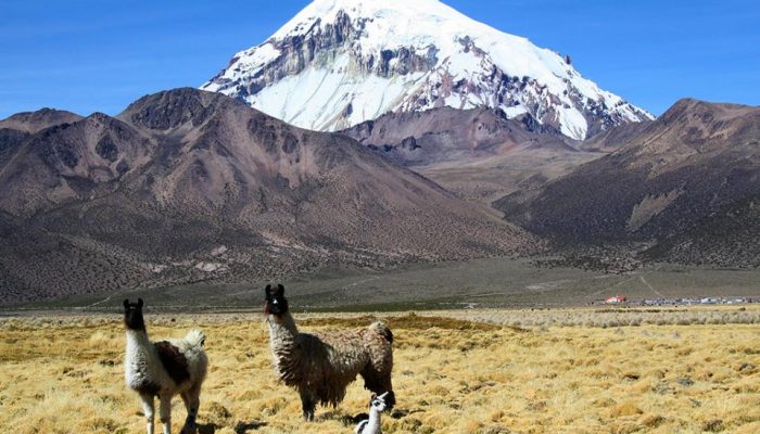 Sajama Park