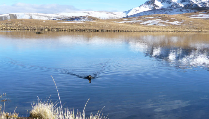 LAGUNA KHOTIA - LAGUNA AJWANI (4615 meters / 15 141 feet asl.)