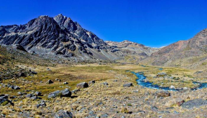 HUANACUNI CAMP - PELECHUCO PASS - PALOMANI GRANDE CAMP (4730 meters/15,500 feet asl)