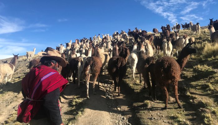 TUNI / DAY WITHIN THE COMMUNITY - LA PAZ (3600 m a.s.l./11,811 ft)