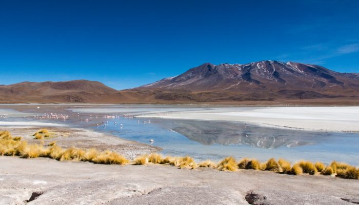 HOTEL DEL DESIERTO - 1001 LAGOONS - SAN PEDRO DE QUEMEZ (3700 m a.s.l./12,139 ft) 