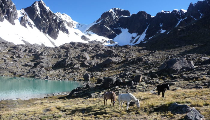 LAGUNA LECHE KHOTA (5140 m.a.s.l./16863 feet) / REST