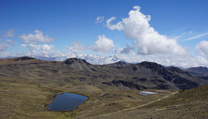 Thaki Bolivie