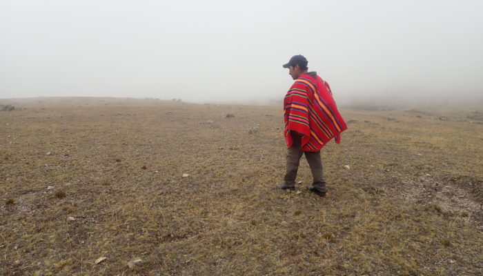 Thaki Bolivie