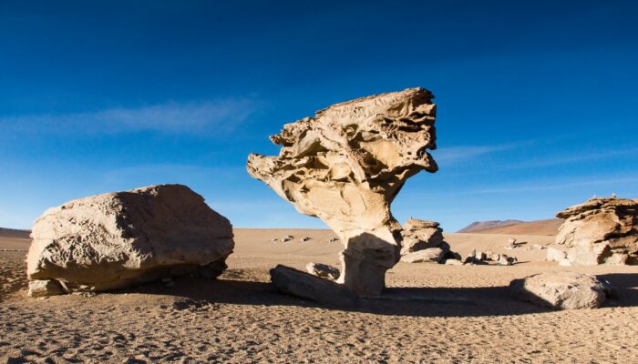 LA PAZ - UYUNI - ROCK VALLEY - VILLAMAR 