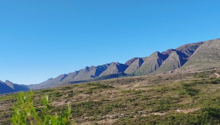 TOROTORO NATIONAL PARK : A REDISCOVERED WORLD